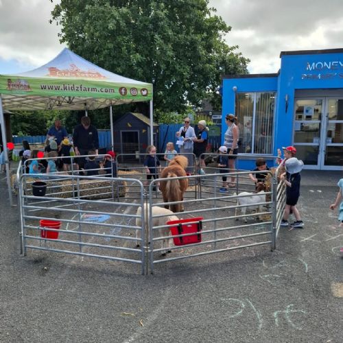 Nursery Animals Visit