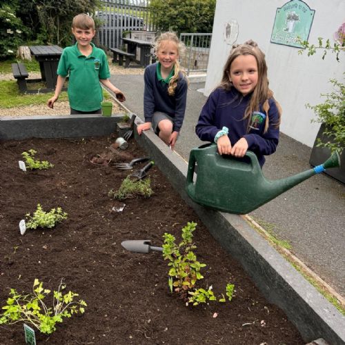 Eco Farmers