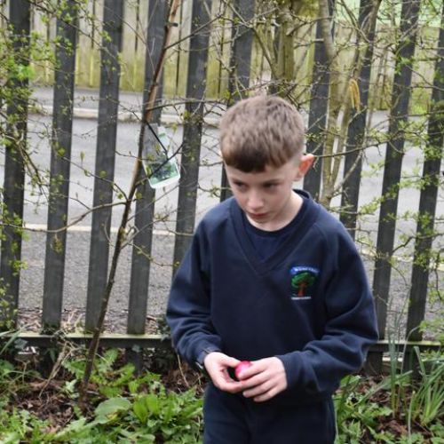 16f878f9-3eaf-4ea6-938a-7700bc19acd41x1