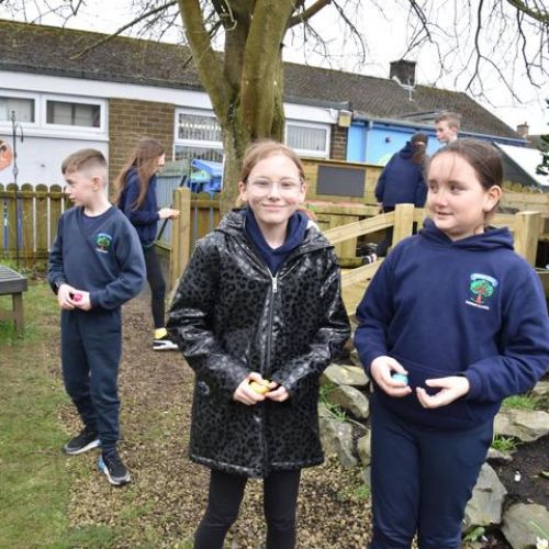 43639619-43a2-46c3-bffc-1f886d0729c71x1