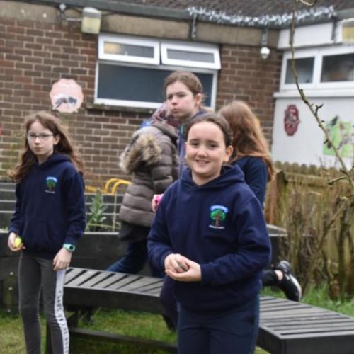 48426220-b501-4f60-badf-6ed84236ee851x1