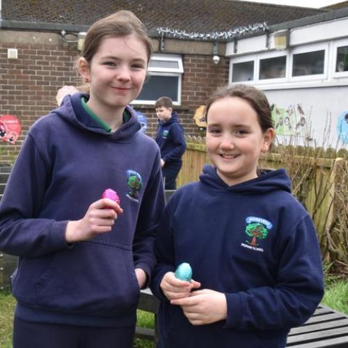 540243ee-436f-4ad4-92e7-878657eddbd51x1