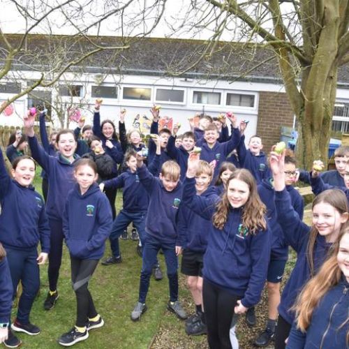 ab803b8b-db9d-4bb1-a539-950f07b3cf1b1x1