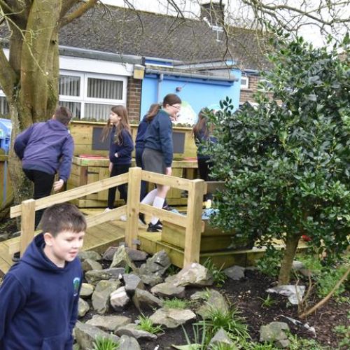 cf060c5e-51dc-4699-8147-867677104dd41x1