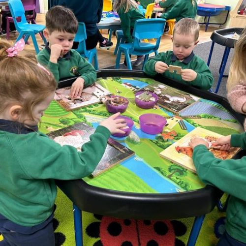 This Week in Nursery