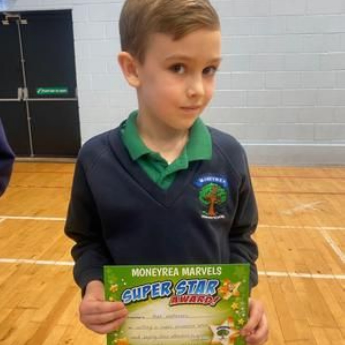 moneyrea-primary-school-and-nursery-moneyrea-marvels